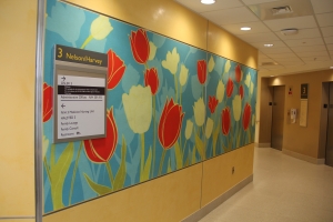 evidence based design for healthcare facilities pdf